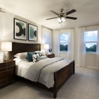 Oaks of Lawndale By Meritage Homes