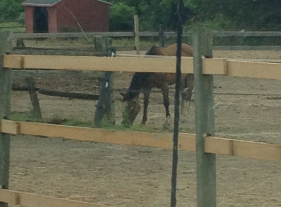 Heaven's Gate Farm - Pipersville, PA