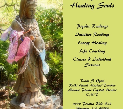 Healing Bodies Healing Souls - Fremont, CA