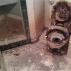 Steri-Clean Fort Worth - Hoarding, Biohazard, Rodent & Extreme Cleaning
