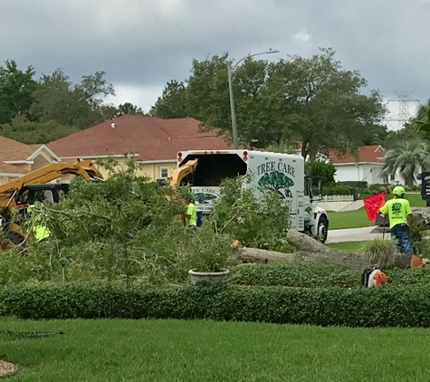 Tree Care - Brooksville, FL. Removal of Large Dying Turkey Oak