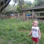 Enchanted Forest Elaine Gordon Park