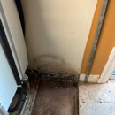 O2 Mold Testing of Reston - Mold Remediation