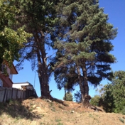 Gallery Image Number 4