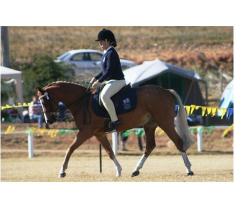 Forest Park Riding & Equitation School - Stromlo, ACT