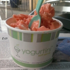 Yogurtini