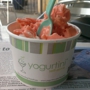 Yogurtini