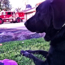 Riverside County Fire Department-Station 25 - Fire Departments