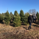 Western's Tree Farm - Landscape Contractors