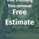 Tree Top Services - Tree Service