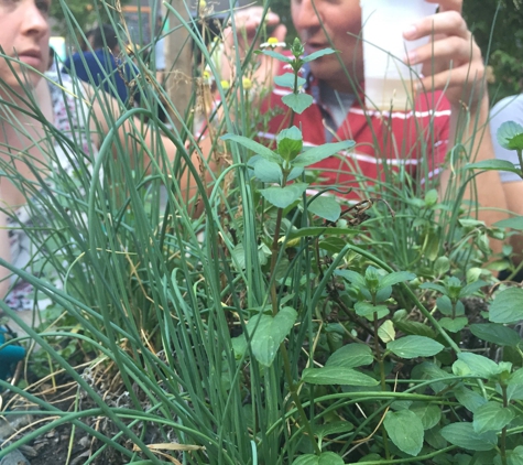 PHS Pop Up Garden South Street - Philadelphia, PA