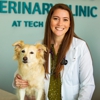 Crestview Veterinary Clinic at Tech Ridge gallery