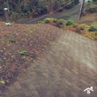 SAFE Roof Cleaning Moss Removal