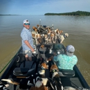 Brad Carlisle - State Farm Insurance Agent - Insurance