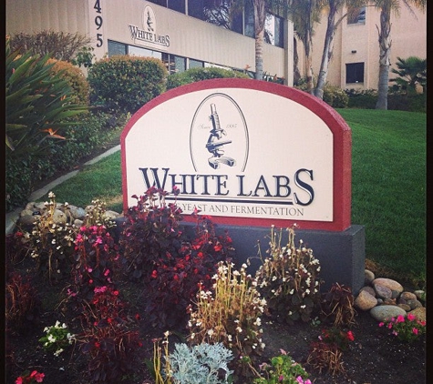 White Labs - San Diego, CA