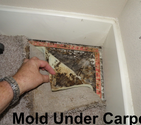 Texas Mold Consultants - Austin, TX