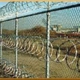 US RAZOR WIRE INSTALLED -US Marine ( Veteran Run & Owned)