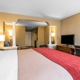 Comfort Inn & Suites North Conway