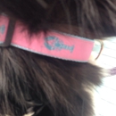 Good Dog Goods & Bakery - Pet Stores