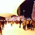 Ice Terrace-Crown Center