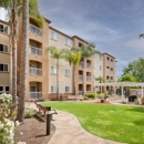 Hayward Village Senior Apartments - Apartments