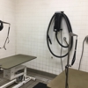Petco Grooming gallery