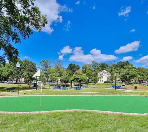 Mount Vernon Square Apartments - Alexandria, VA