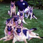 All Island K-9 Service