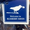 Blueberry Haven gallery