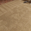 Carpet Cleaning Chicago gallery