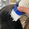 Lice Clinics of America - Stockton gallery