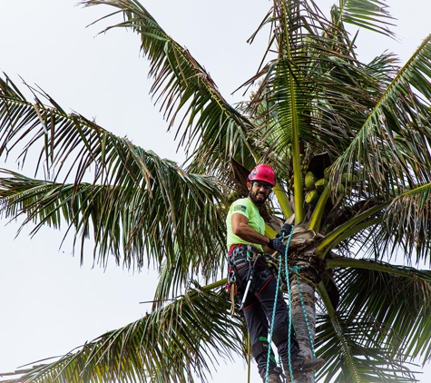 Mana Home Services - Kailua, HI