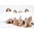 Double Bay Podiatry Centre - Podiatrists