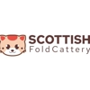 Scottish Fold Kitten Cattery gallery