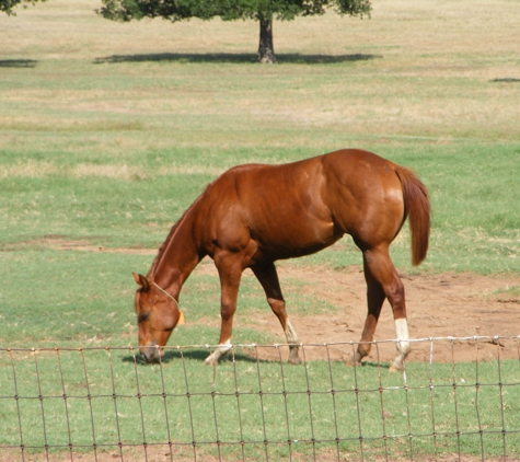 Fossil Gate Farms - Argyle, TX