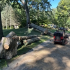 Holland Tree Services