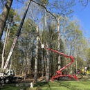 Zach's Tree Care - Tree Service