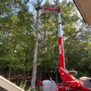 Clarks Tree Express - Tree Service