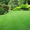 Executive Lawn Care gallery