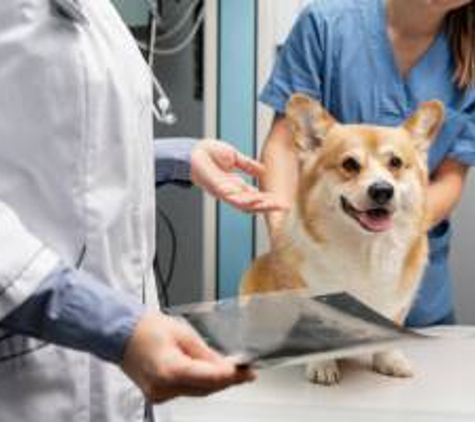 The Animal Hospital at the Crossroads - Carmel, CA