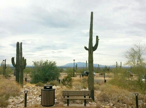 White Tank Mountains Regional Park - Waddell, AZ