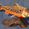 Fish Art Taxidermy gallery