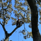 Climbers Tree Care Specialist, Inc.