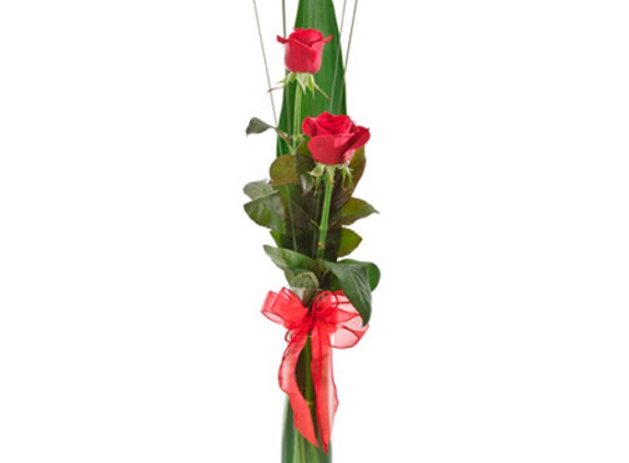 Janines Florist - Reid, ACT