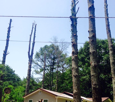 Stanley Tree and Landscaping - Cartersville, GA