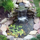 Ponds & Beyond - Ponds & Pond Supplies