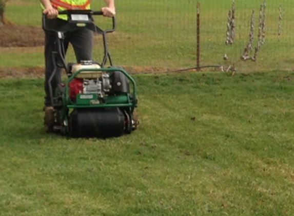 Aeration and Dethatching by Dreamscapes - Dixon, CA