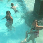 Wisehaven Swimming Pool Inc