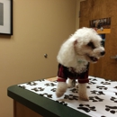 Royston Animal Hospital - Veterinarians