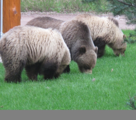 Glacier Wilderness Resort - West Glacier, MT